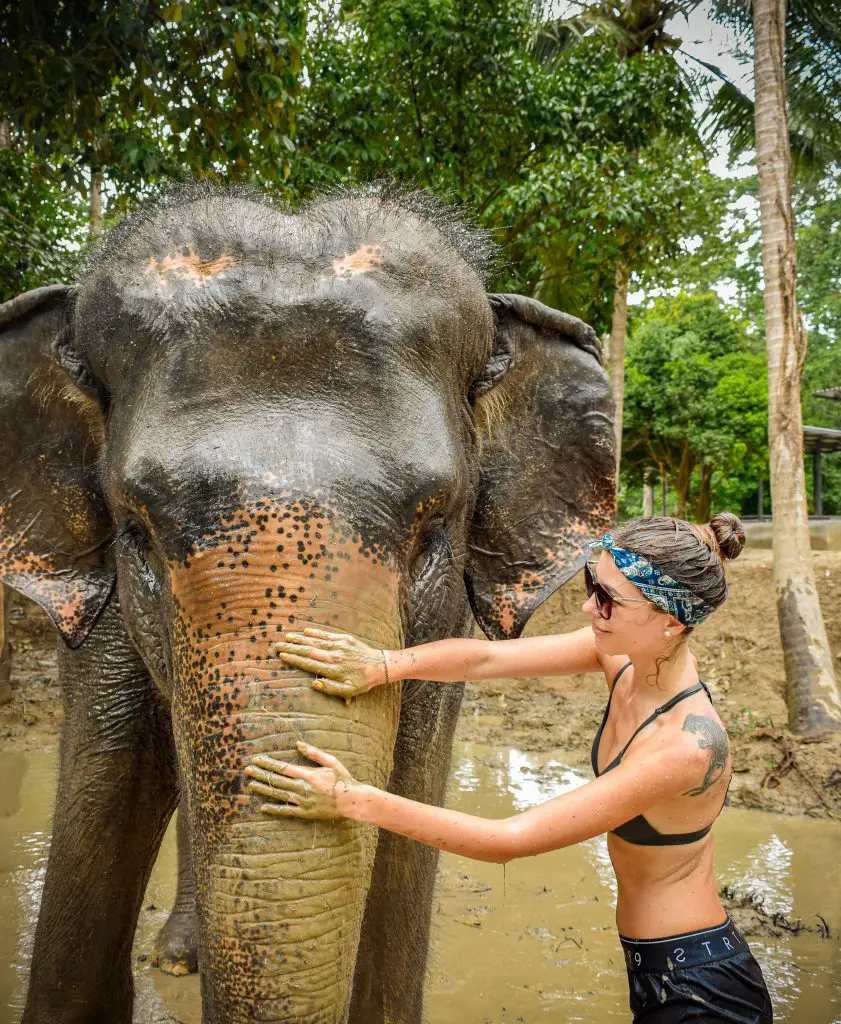 Alona Tiunina at an elephant sanctuary in Koh Samui Thailand. Jet Set Together About Me