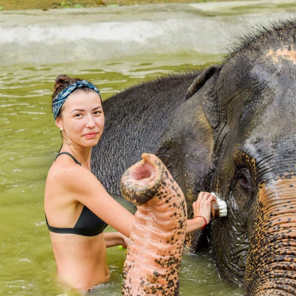 An Ethical Elephant Sanctuary 