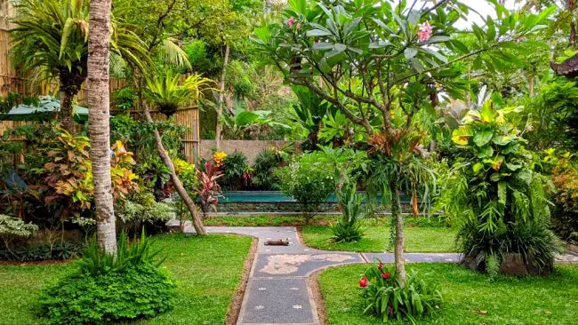 Rumah Erwin Review | Our Ubud Guesthouse - Where To Stay In Ubud