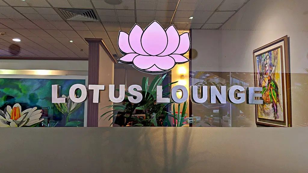 review-lotus-lounge