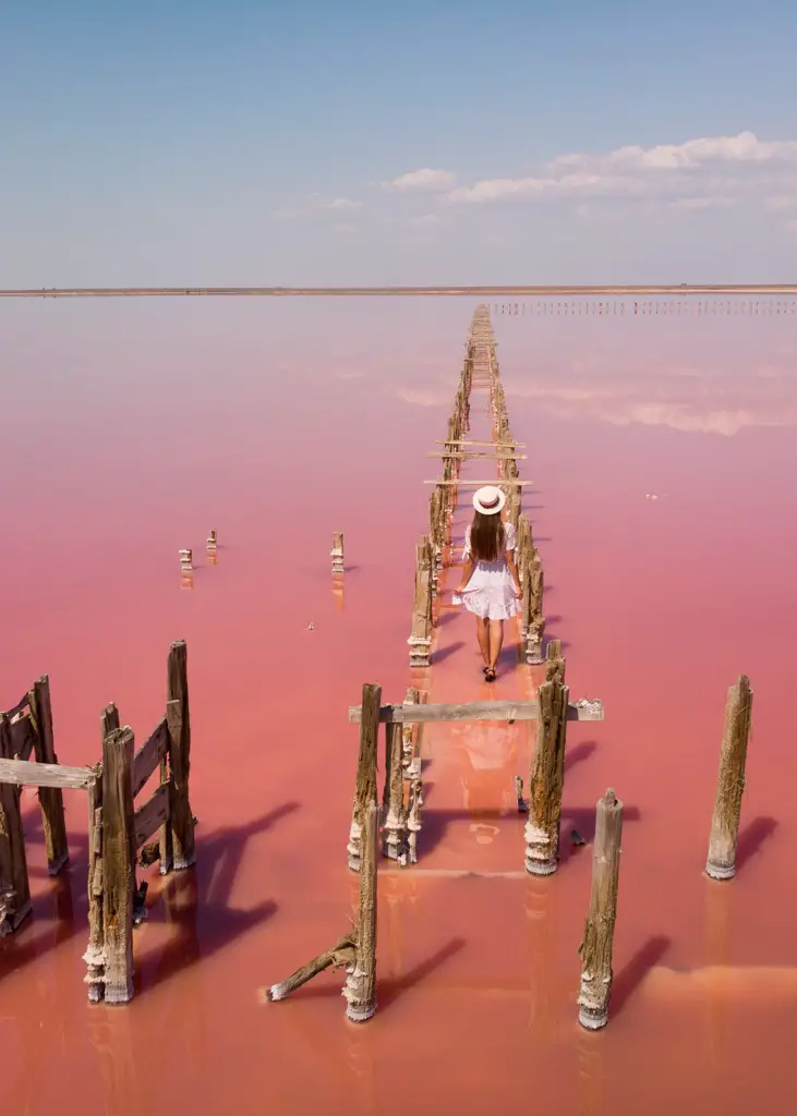 Standing in the Pink Lake, Kherson