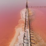 Pink lake in Ukraine
