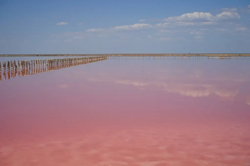 Best Pink Lake In Ukraine