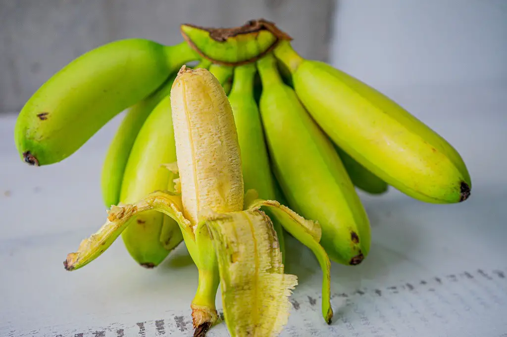 Must Try Fruit In Colombia: Banana Bocadillo