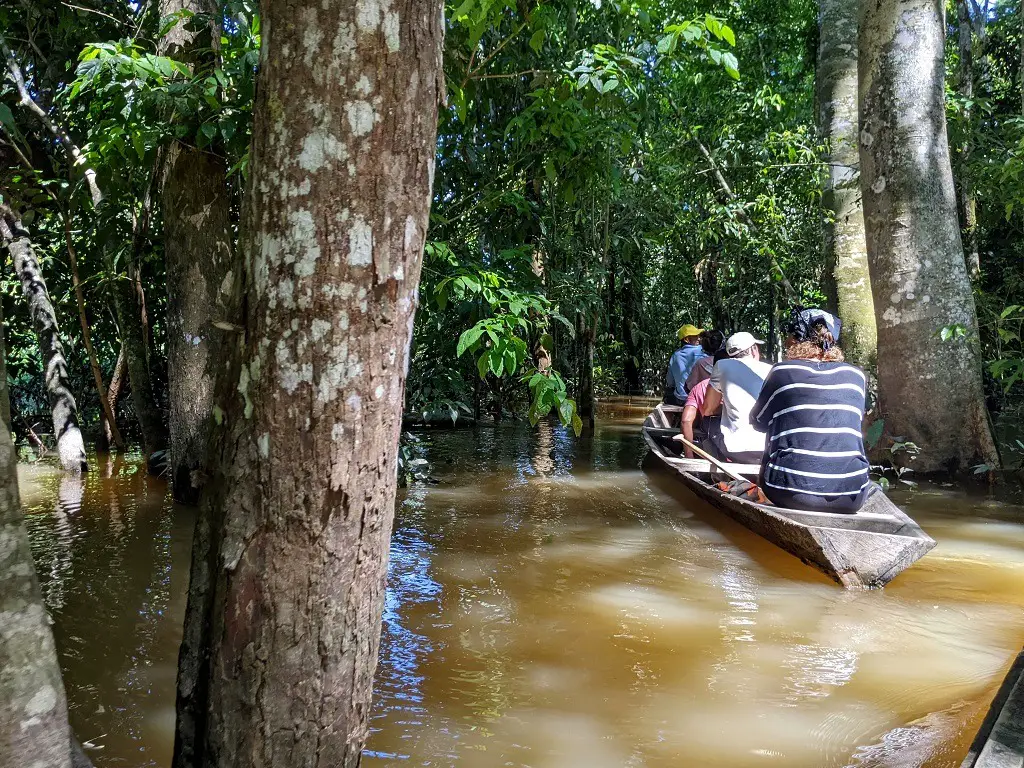 Rainforest vs Cloud Forest: Explore The Amazon River