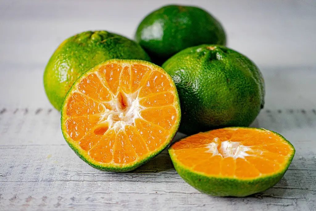 Lime Mandarin (C. x limonia)