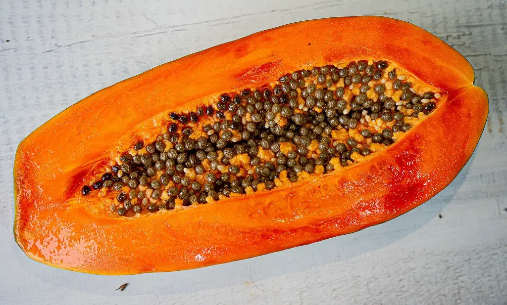 Must Try Fruit In Colombia: Papaya (Carica papaya)