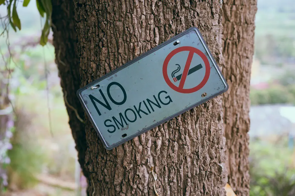 which-of-the-top-us-beaches-have-smoking-bans